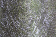 Hunsworth fibreglass roof work